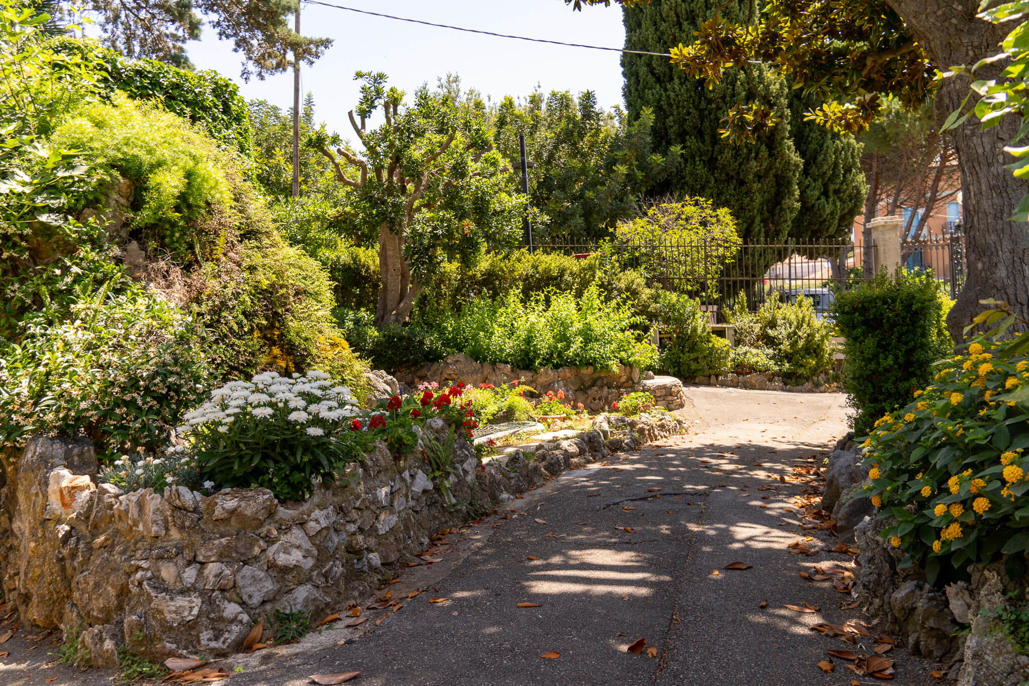 parco-privato-villa-zaveria