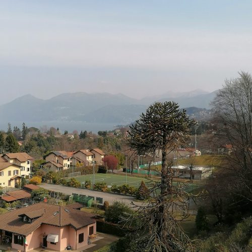 campo calcio