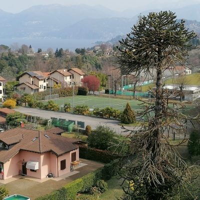 campo calcio